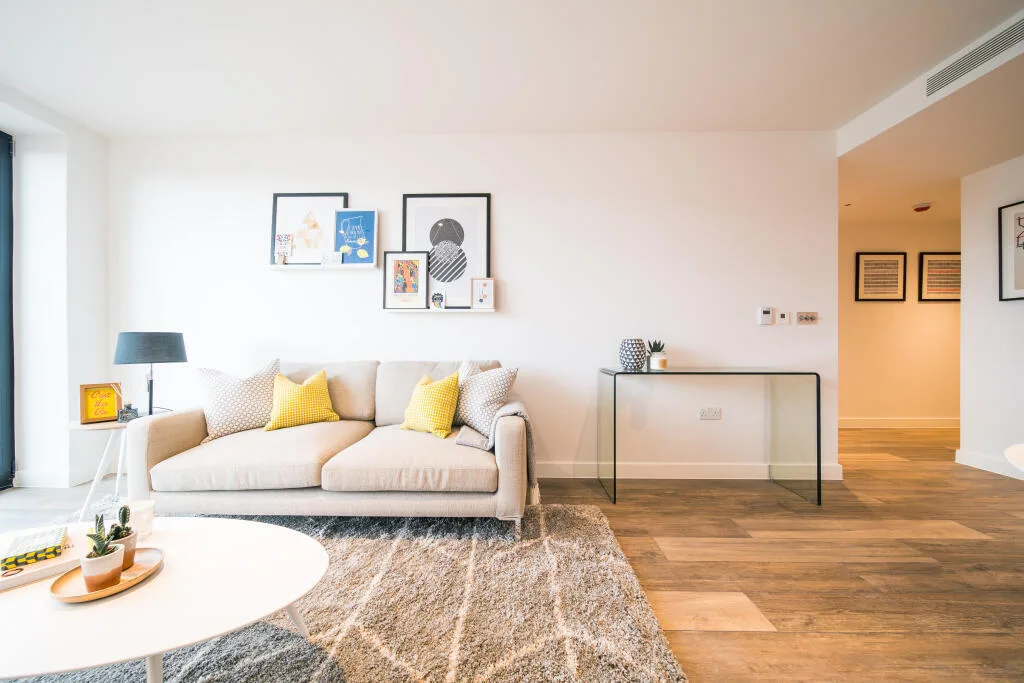 1 bedroom apartment for rent