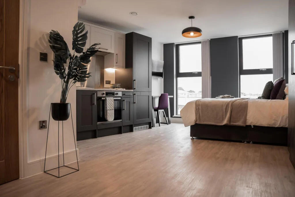 Studio flat for rent