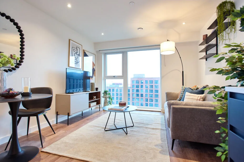 1 bedroom apartment for rent