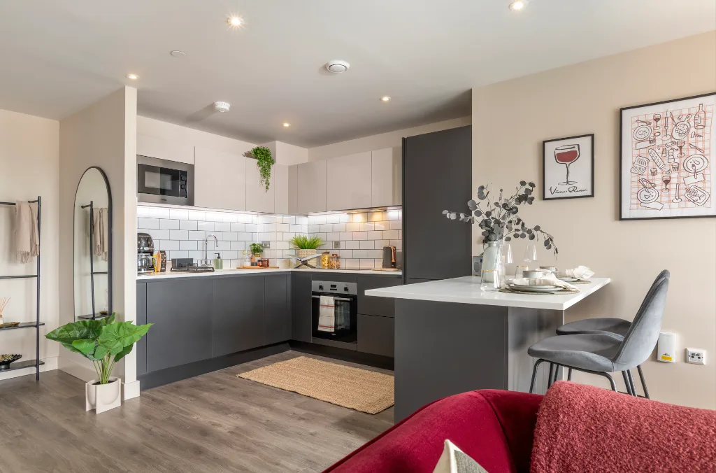 2 bedroom apartment for rent