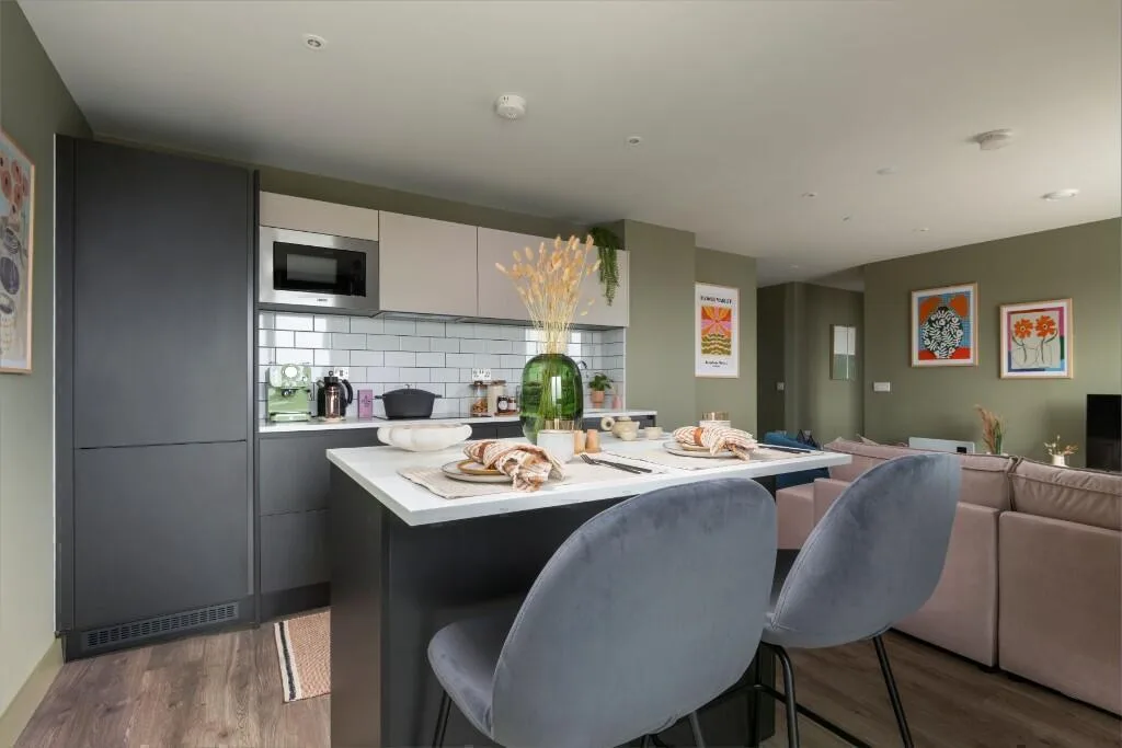 1 bedroom apartment for rent