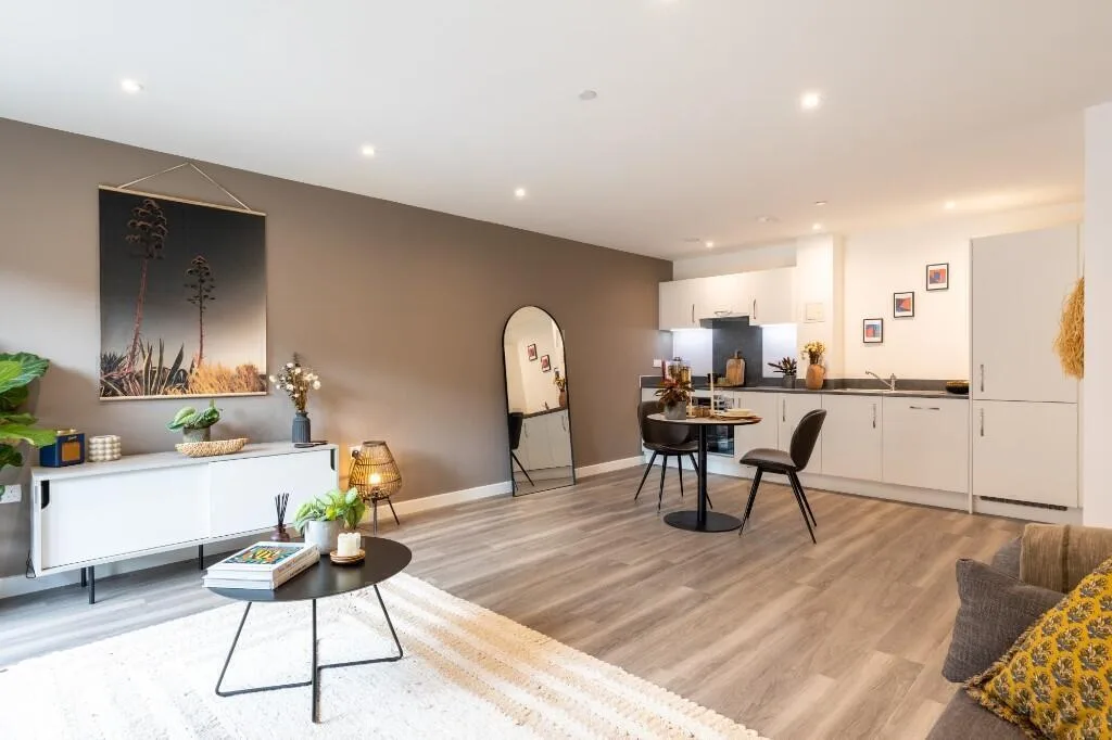 1 bedroom flat for rent