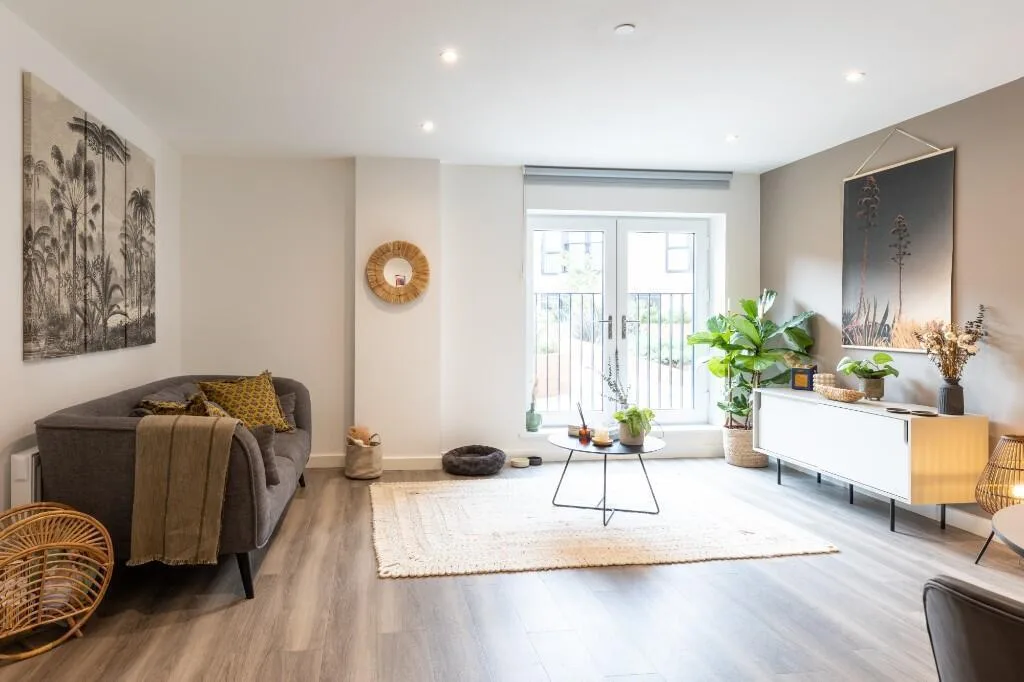 1 bedroom flat for rent