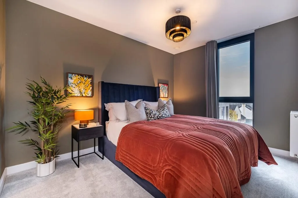 1 bedroom apartment for rent