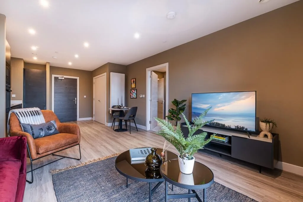 1 bedroom apartment for rent