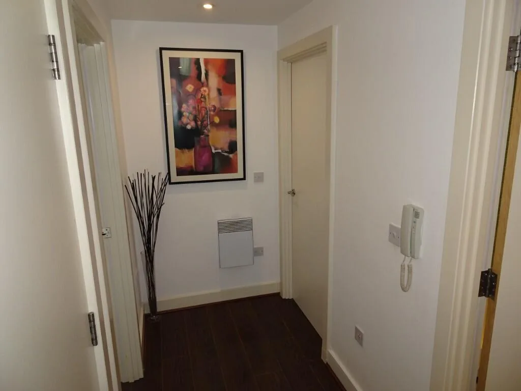 1 bedroom apartment for rent
