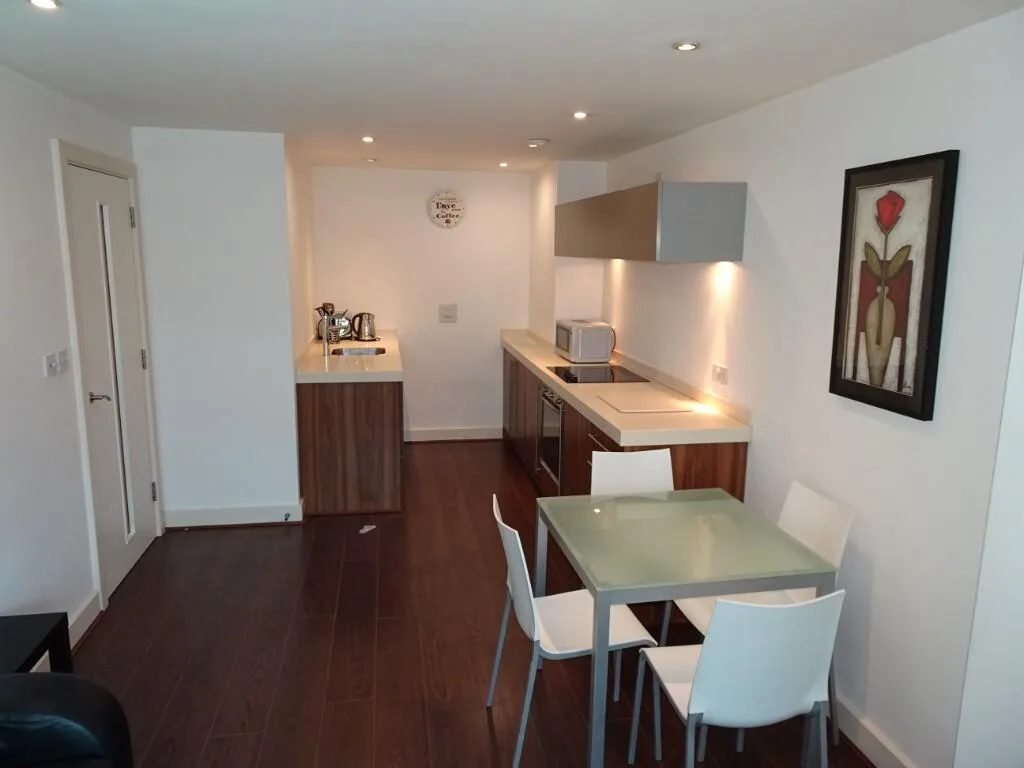1 bedroom apartment for rent