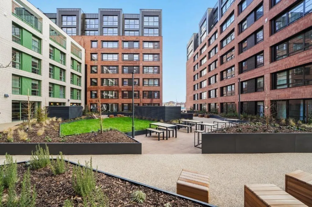 1 bedroom flat for rent