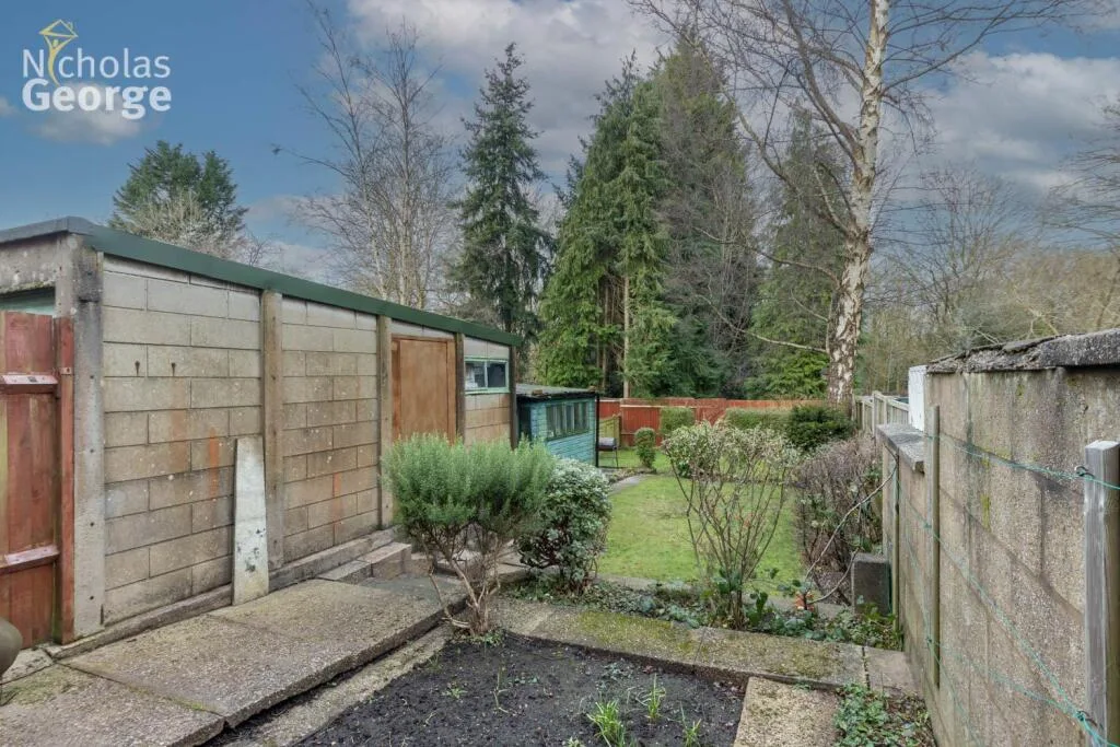 3 bedroom house for rent