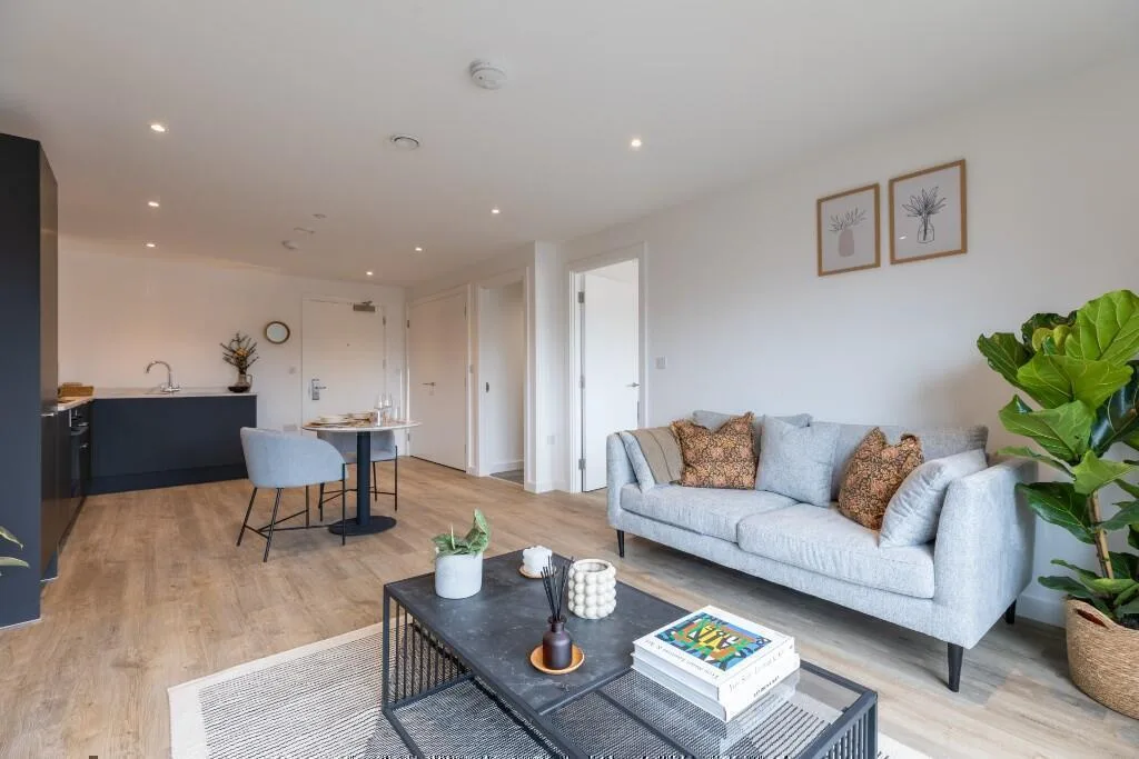 1 bedroom flat for rent