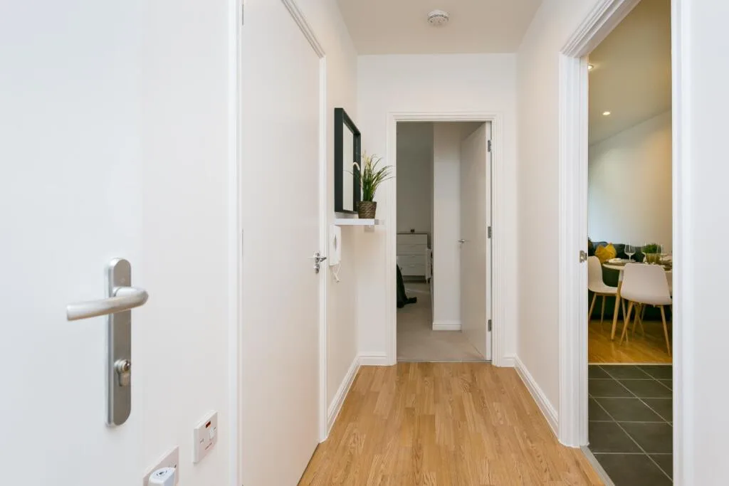 1 bedroom apartment for rent