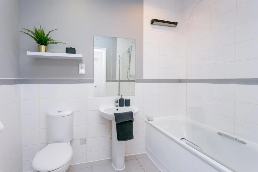 1 bedroom apartment for rent