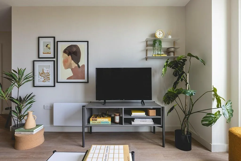 1 bedroom apartment for rent
