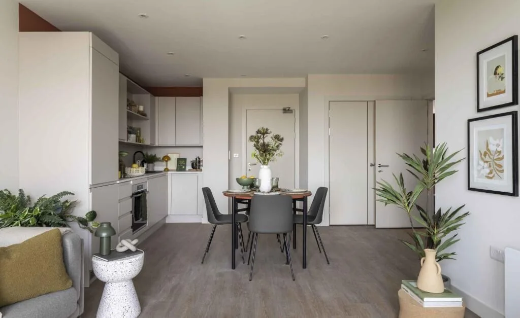 1 bedroom apartment for rent