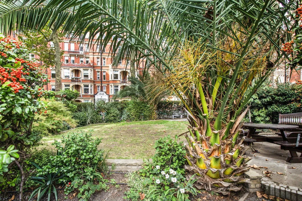 4 bedroom apartment for rent