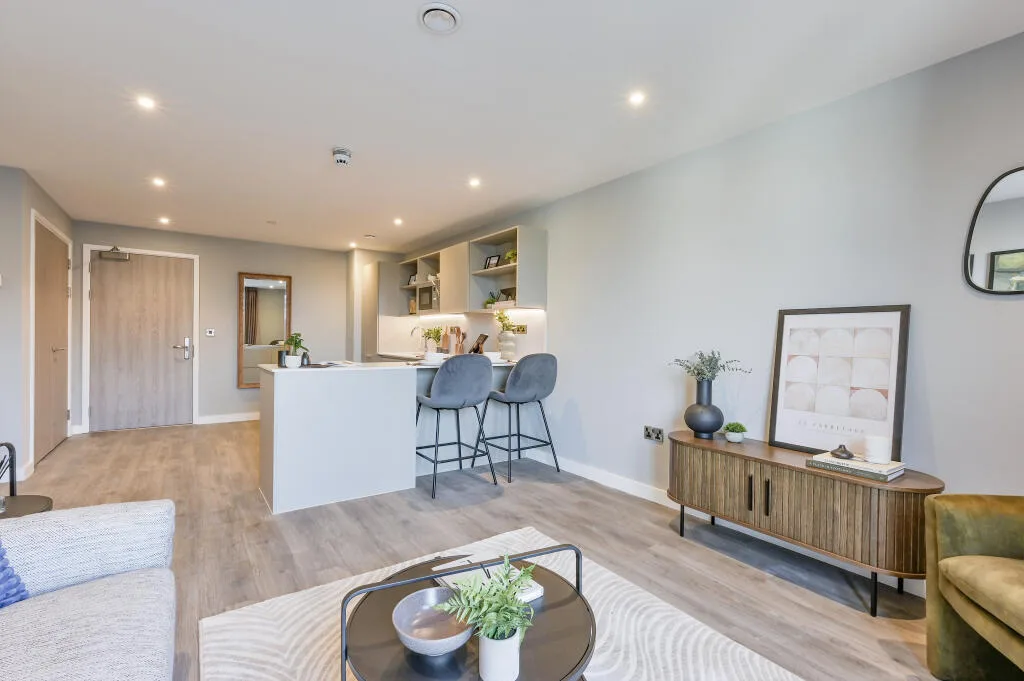 1 bedroom apartment for rent