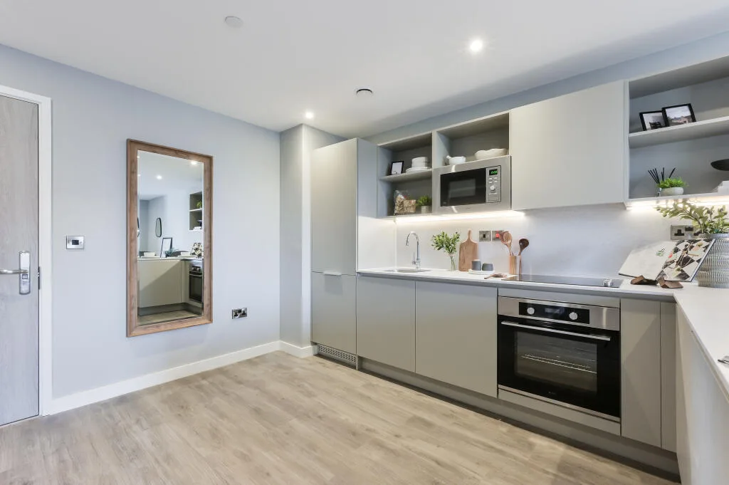 1 bedroom apartment for rent