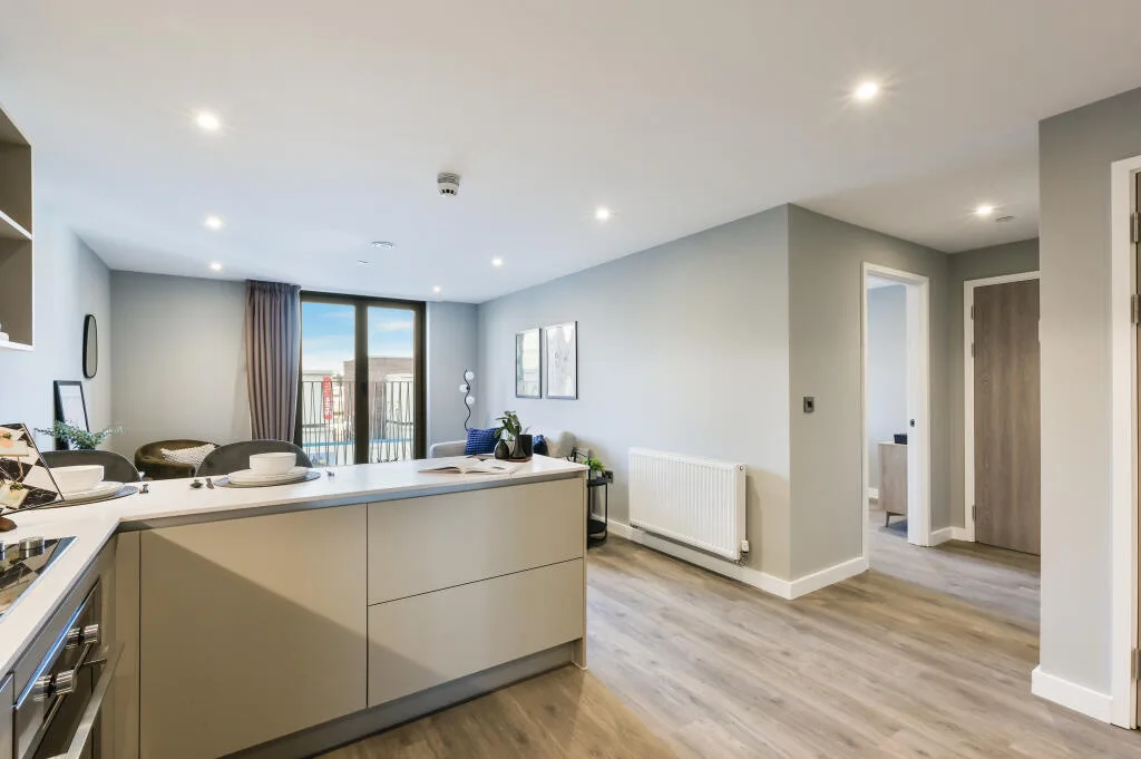1 bedroom apartment for rent