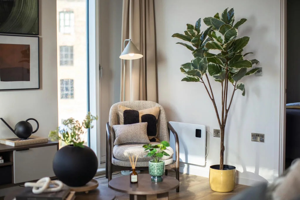 2 bedroom apartment for rent