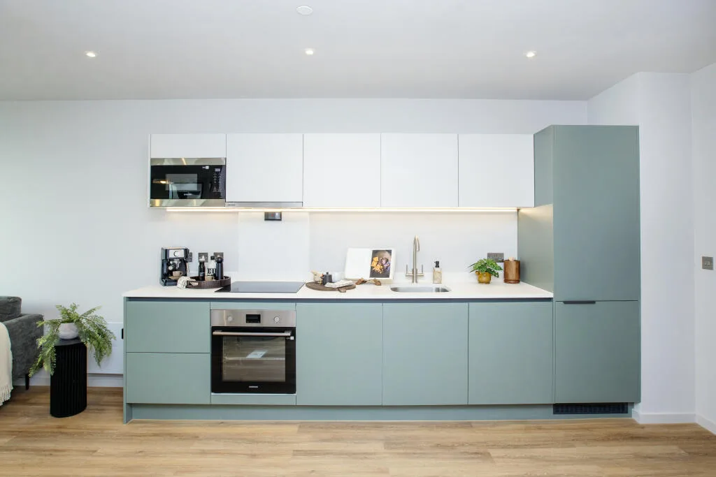 1 bedroom apartment for rent