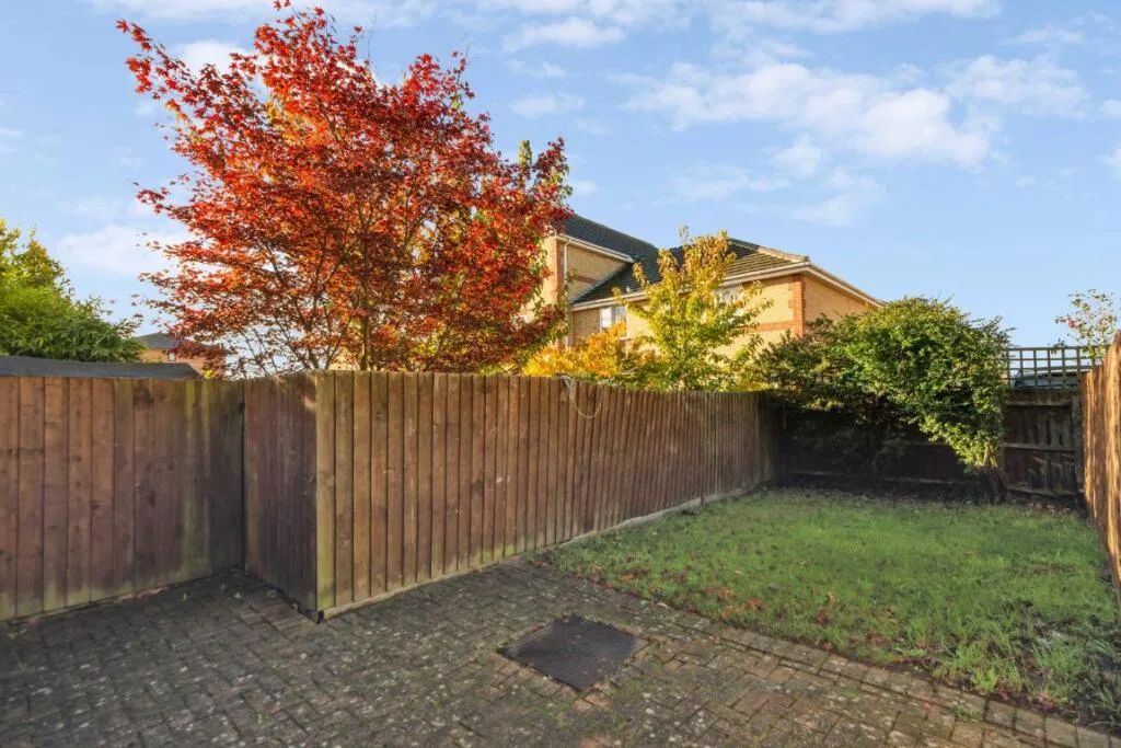4 bedroom house for rent