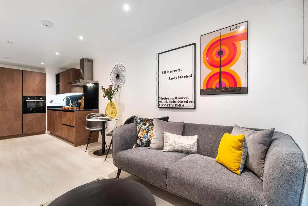1 bedroom apartment for rent