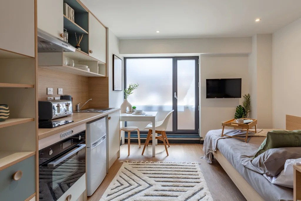 Studio flat for rent