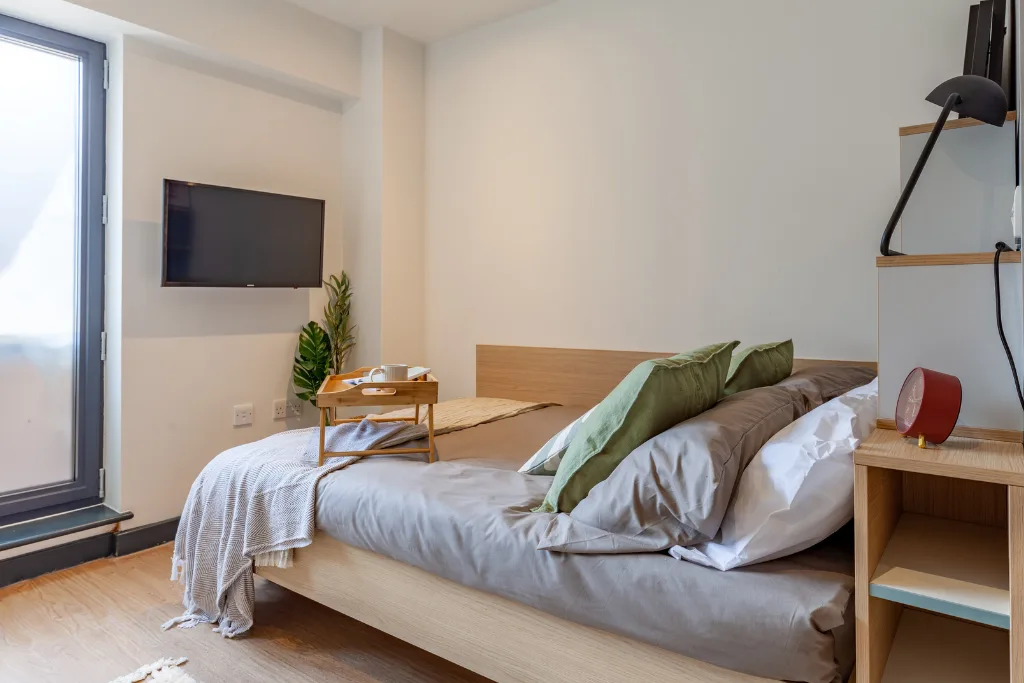 Studio flat for rent