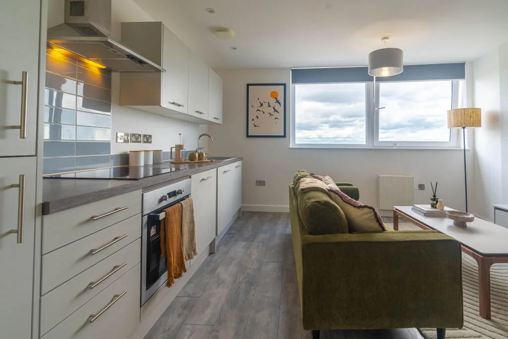 1 bedroom flat for rent