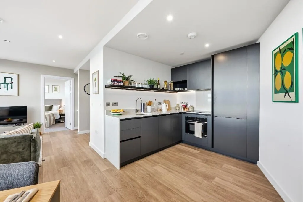 1 bedroom apartment for rent