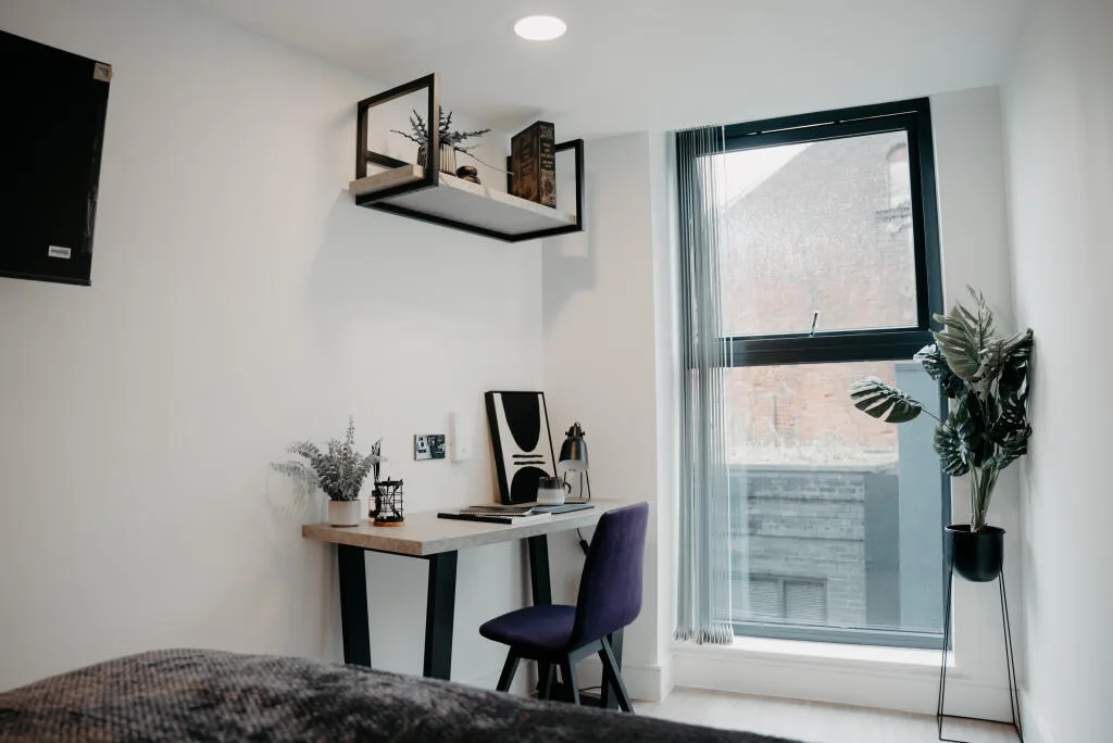 Studio flat for rent
