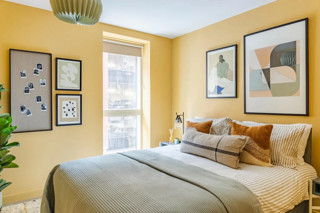 2 bedroom apartment for rent