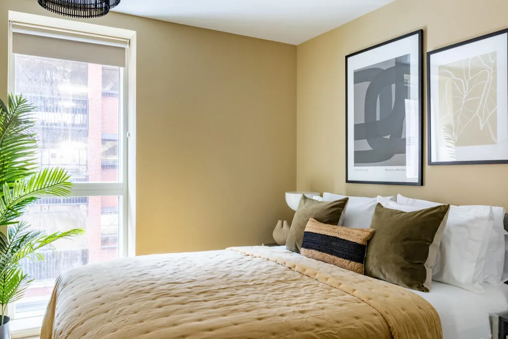 2 bedroom apartment for rent