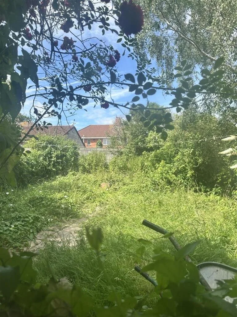 3 bedroom house for rent