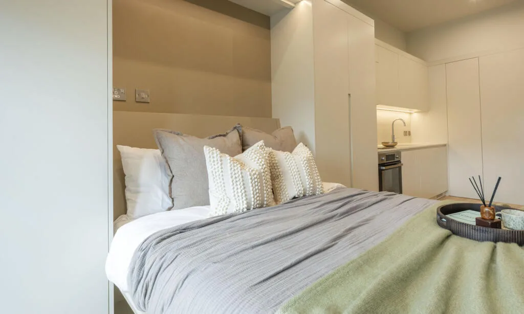 Studio flat for rent