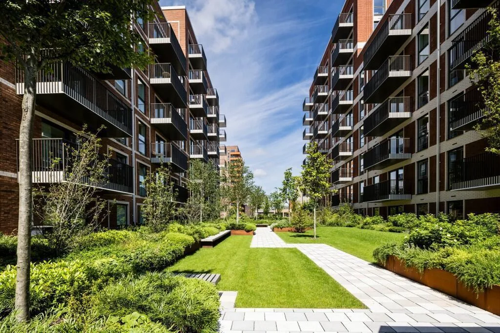 1 bedroom apartment for rent