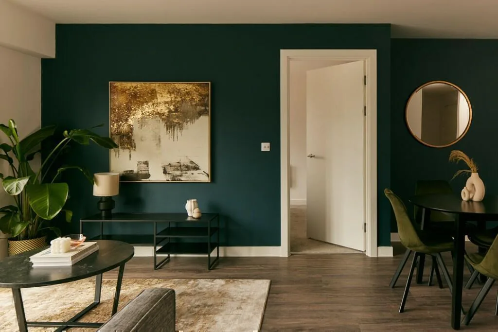 1 bedroom apartment for rent