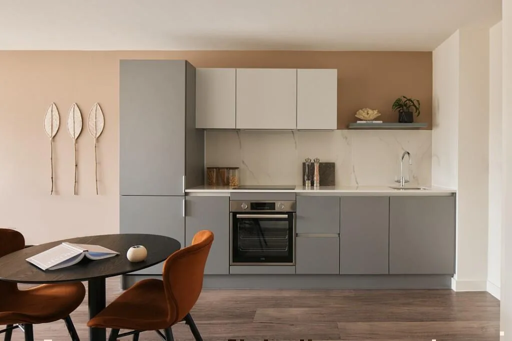 1 bedroom apartment for rent