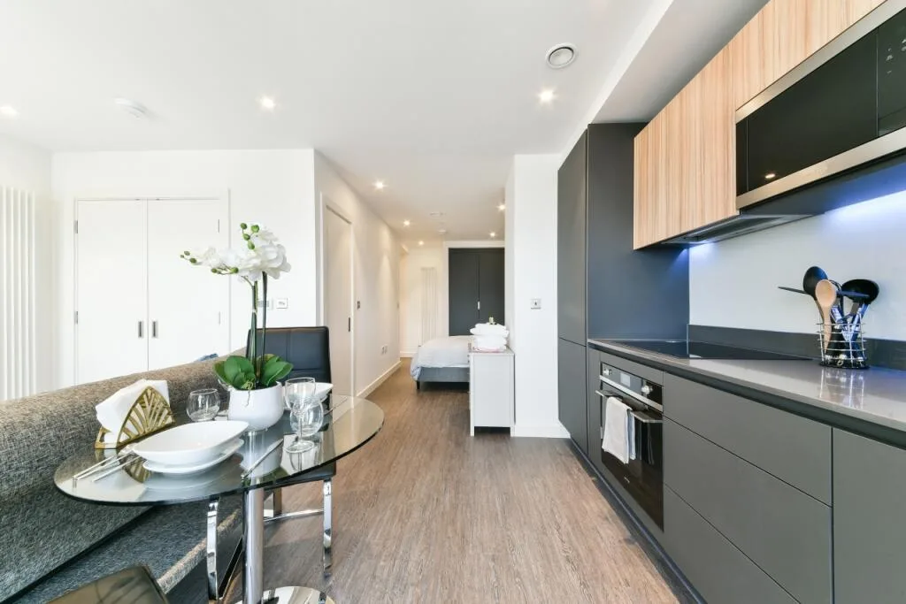 Studio flat for rent