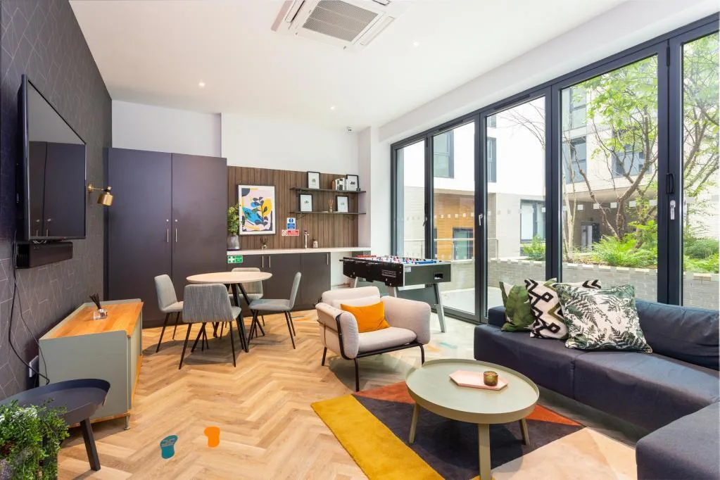 1 bedroom apartment for rent