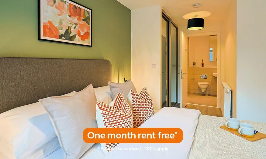 1 bedroom apartment for rent