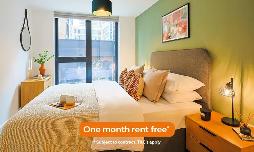 1 bedroom apartment for rent