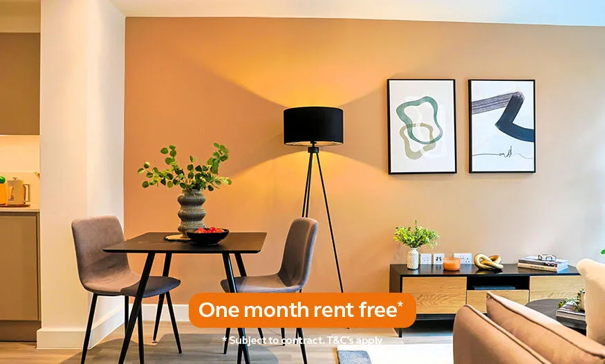1 bedroom apartment for rent