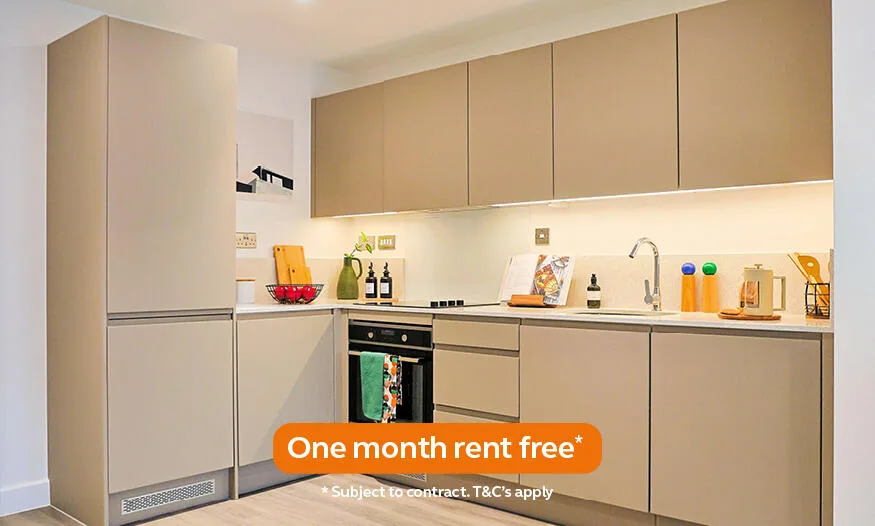 1 bedroom apartment for rent