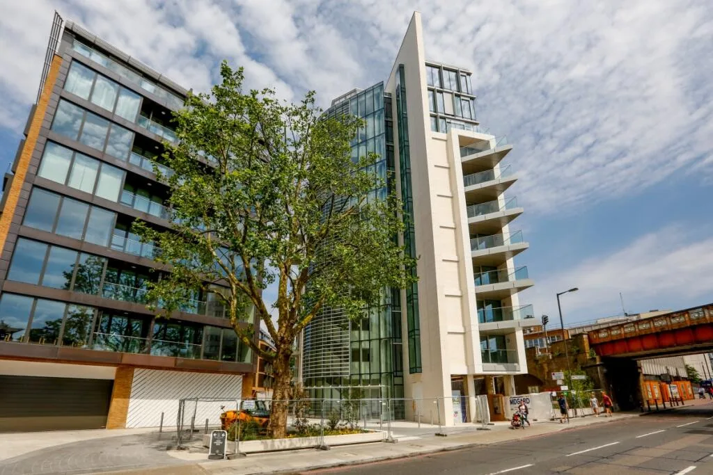1 bedroom apartment for rent