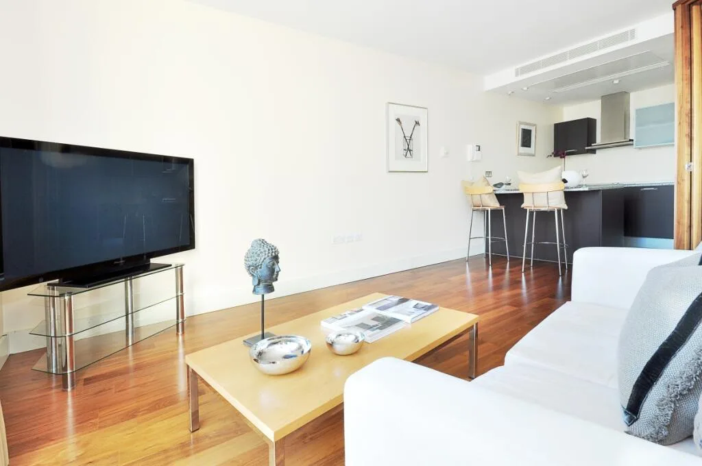 1 bedroom apartment for rent