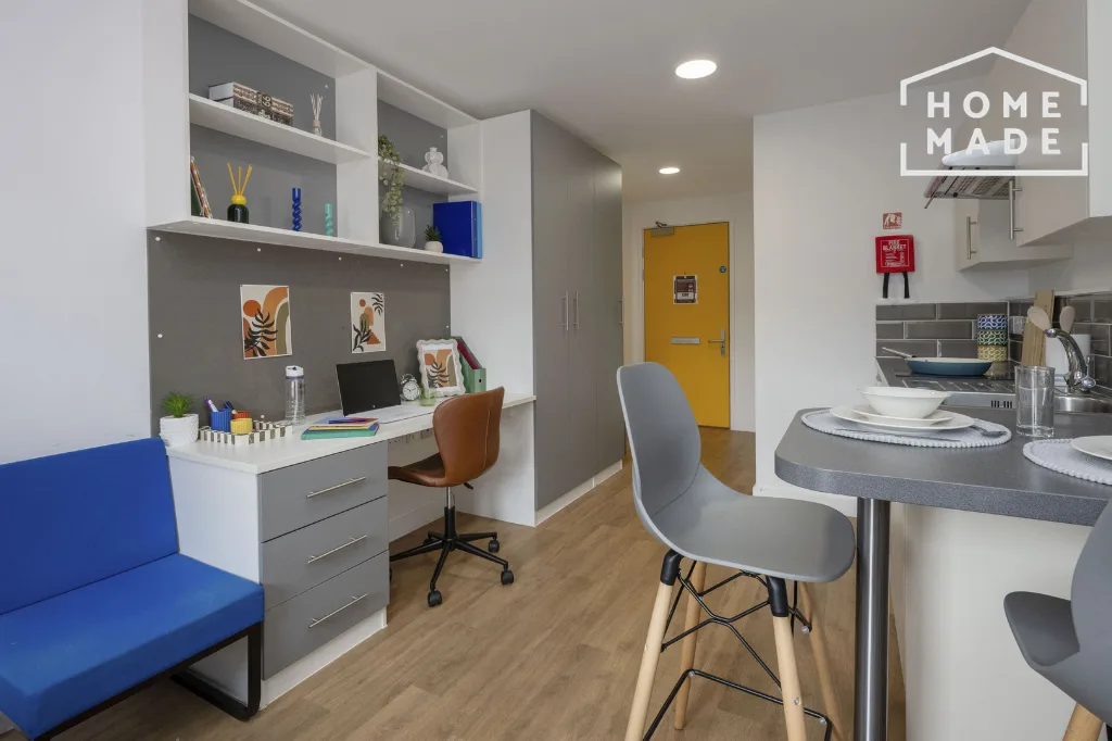 Studio flat for rent