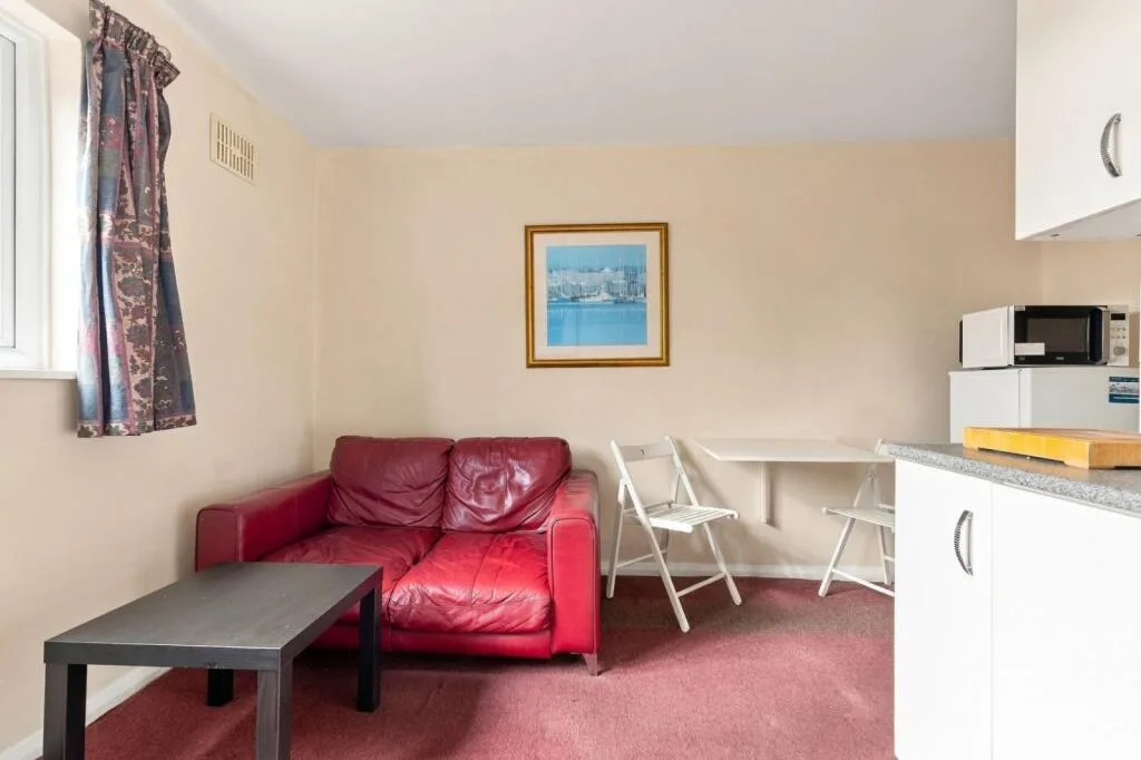 1 bedroom flat for rent