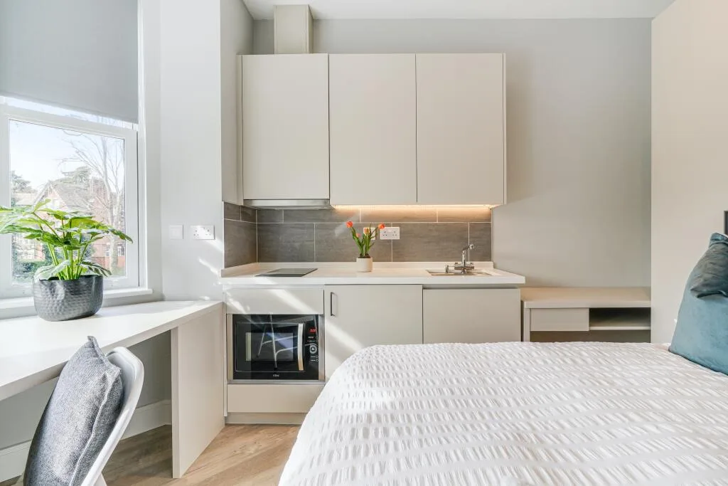 Studio flat for rent