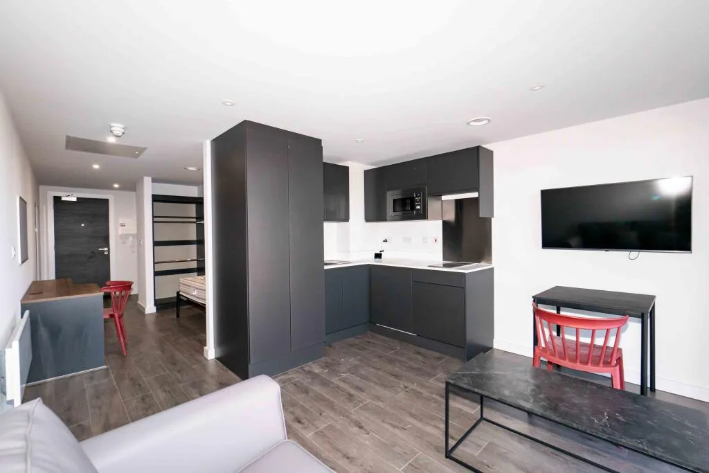 Studio flat for rent